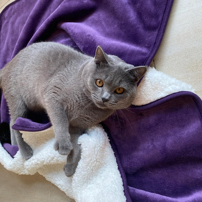 Waterproof Lovers' Blanket